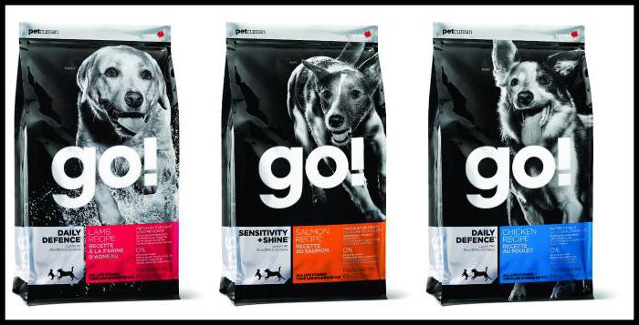 dog food for dogs