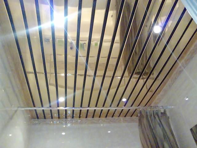 ceiling in the bathroom panels